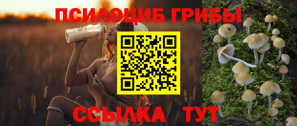 Псилоцибиновые грибы MAGIC MUSHROOMS Осинники